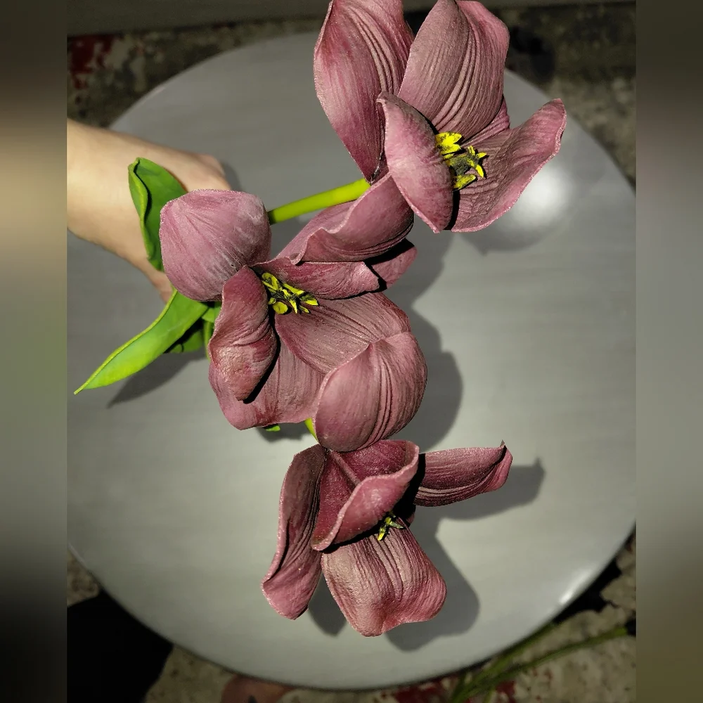 Bundle Of 3 Real Touch Brownie Tulip Stems – Burgundy-18.9